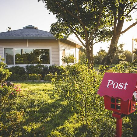 Sunyang Village Pension Jeju Dış mekan fotoğraf
