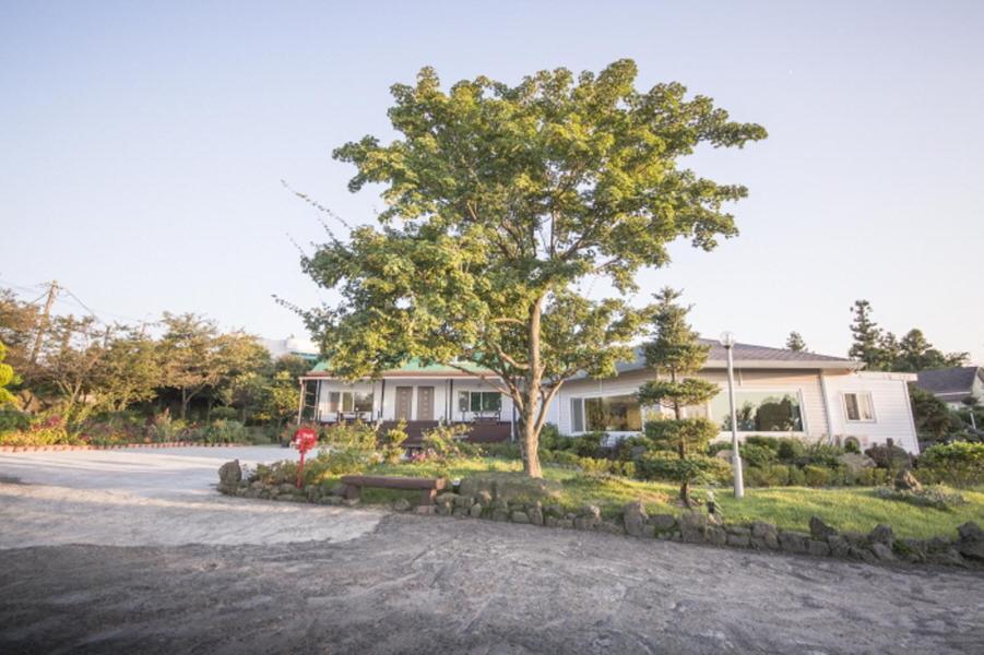 Sunyang Village Pension Jeju Dış mekan fotoğraf
