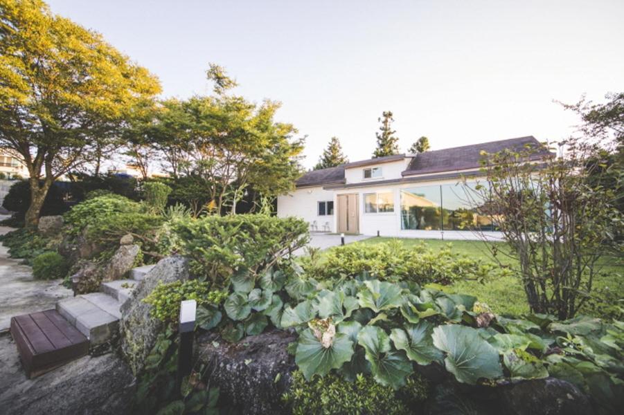 Sunyang Village Pension Jeju Dış mekan fotoğraf